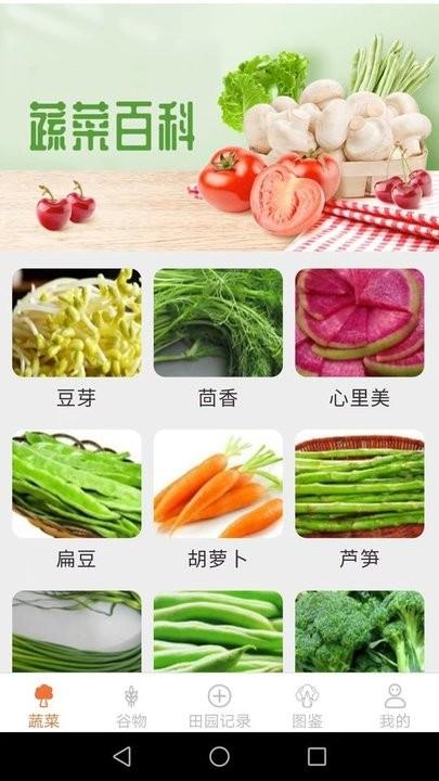 口袋田园百科知识手机版下载,口袋田园,植物app